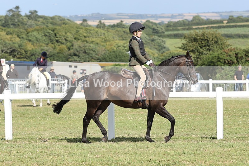 JPP_2866 - Class 20: Working Hunter 70cm