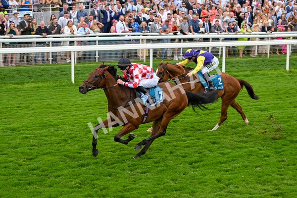270724-Race 6-Ziggy-7535 - Race 6 5.10pm Sky Bet, For The Fans Handicap