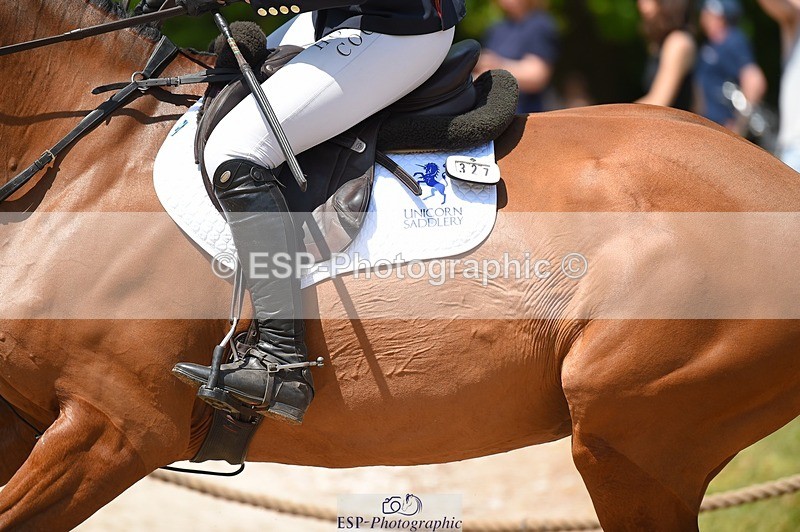 230528-114038-15319 - 327-ROMANTIC-Rosie_Fry-SUNTrotUp+SJ