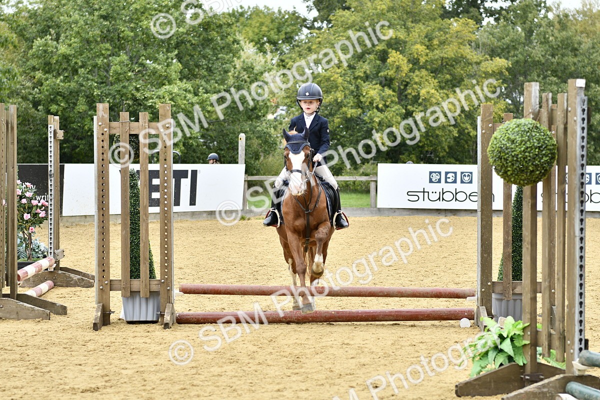 SBM_65456 - J2a mini Tour Junior Pony 30cm Championship