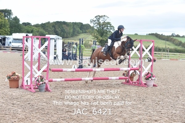 JAC_6421 - CLASS 12 SUN Club/ Unaffiliated 70cms Open