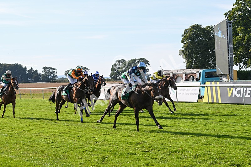 160924-Race 6-Count Palatine-3114 - Race 6