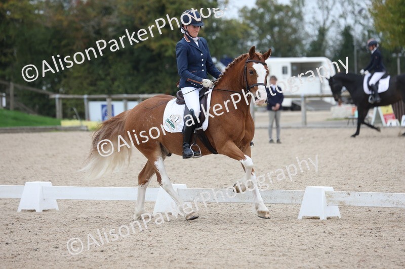 20251011-0404 - Class 4 - Novice 2