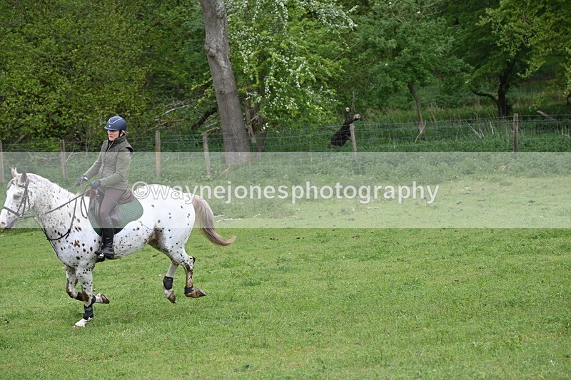 WJ6_2875 - A Camera