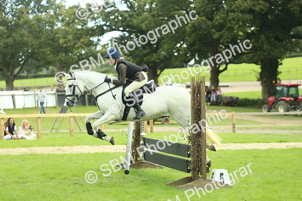 SBM_44726 - S31 - Working Hunter Pony