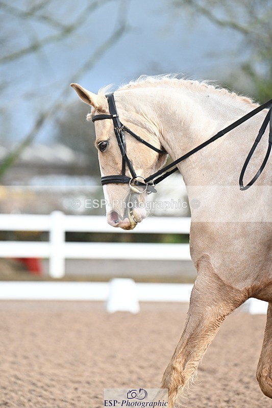 240218A-094430-04831 - 176-Kim.Walker-Dom.Perignon