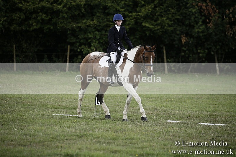 BVR090918 194 - BVRC Dressage and Show Jumping 09/09/18