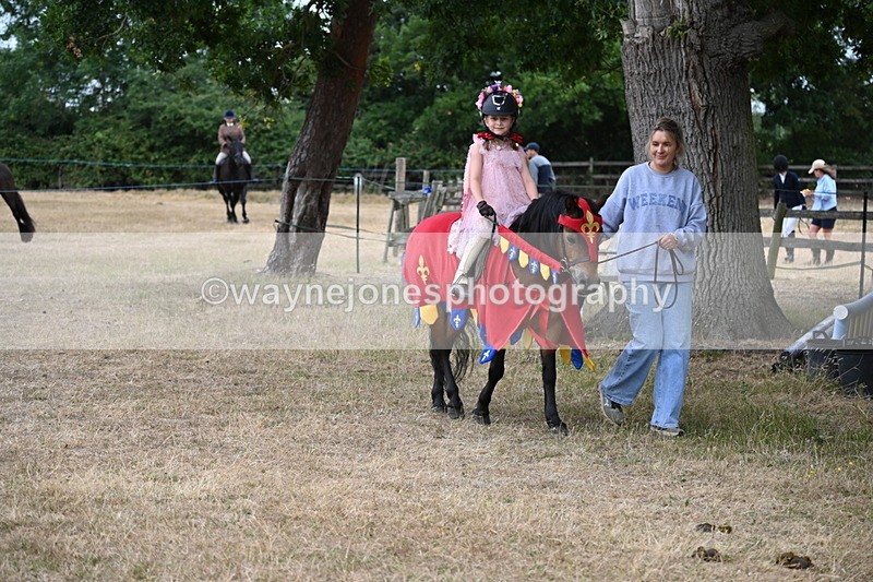 WJ6_8942 - Class 11 Fancy Dress