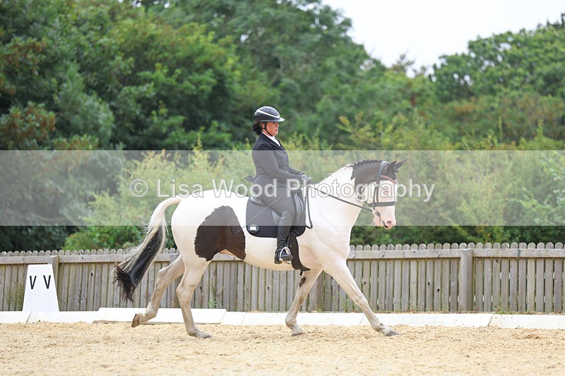 3E7A7096 - Class 7: Novice 4 2024 Section B