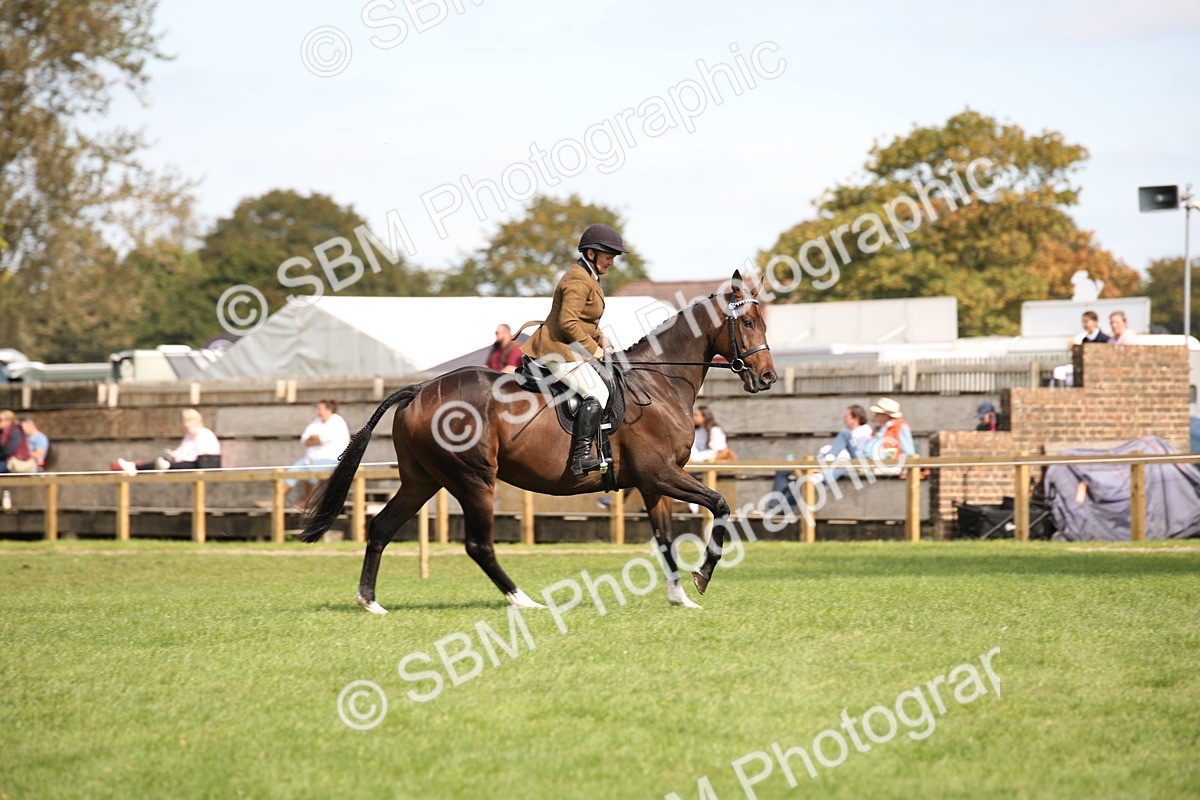 SBM_65968 - S64 - Riding Horse & Hack & Thoroughbred Ridden