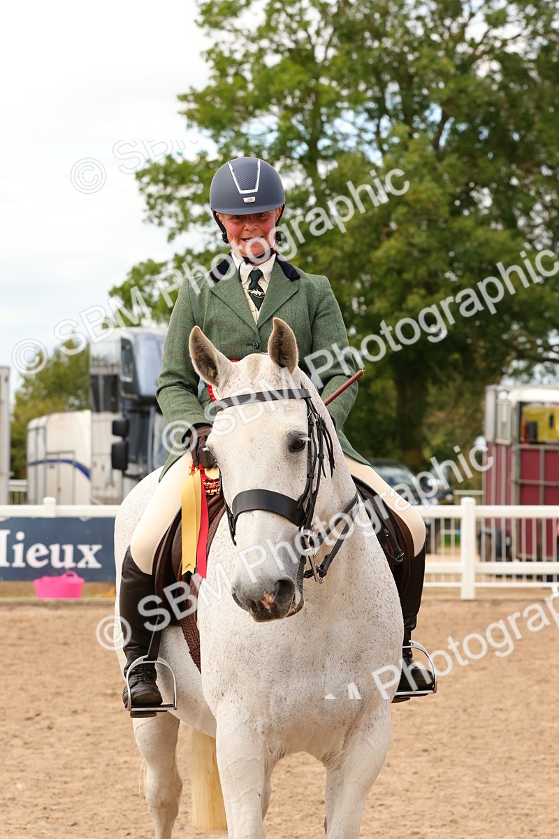 SBM_15586 - Class 214 - Ridden Show Cob