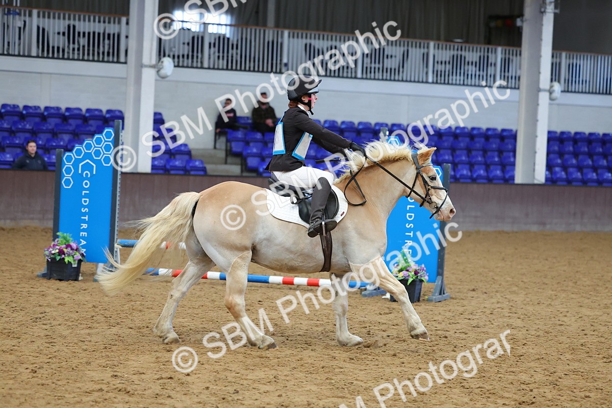 SBM_000524 - Class 5 - 50cm - BRC Championships