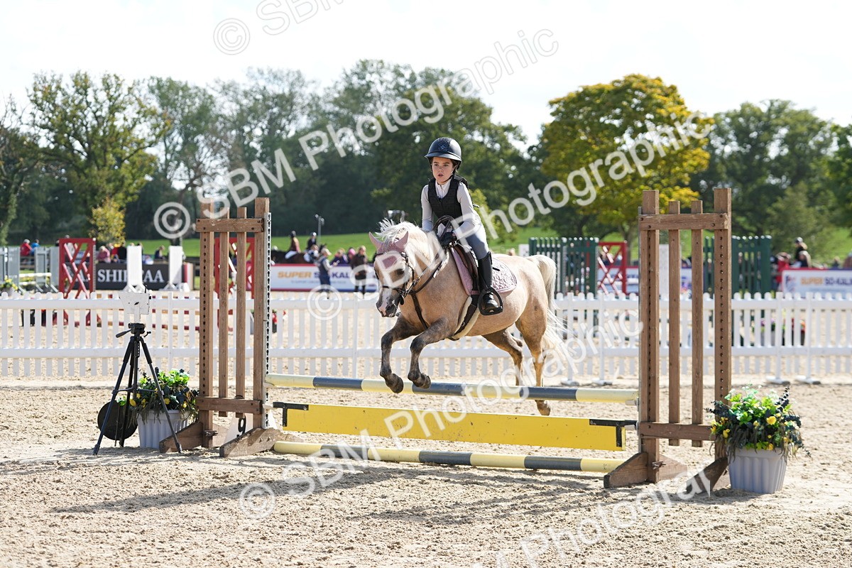 SBM_48402 - J7 - Junior Pony 60cm Championship