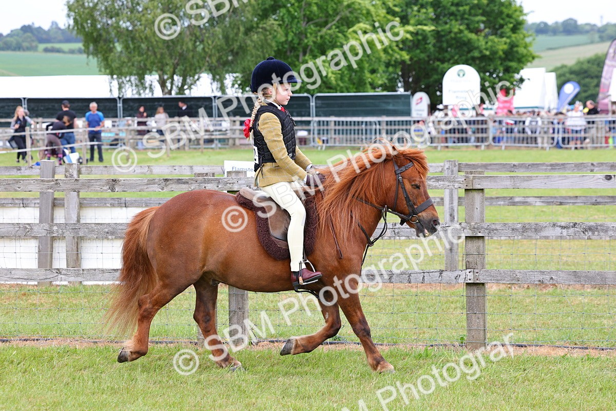 SBM_08511 - Class 42-43 - LIHS BSPS Heritage Working Sports Pony