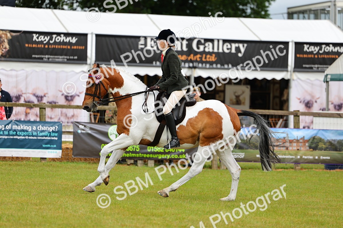 SBM_02531 - Class 9-11 Side Saddle including LIHS Rising Star Ladies Show Horse
