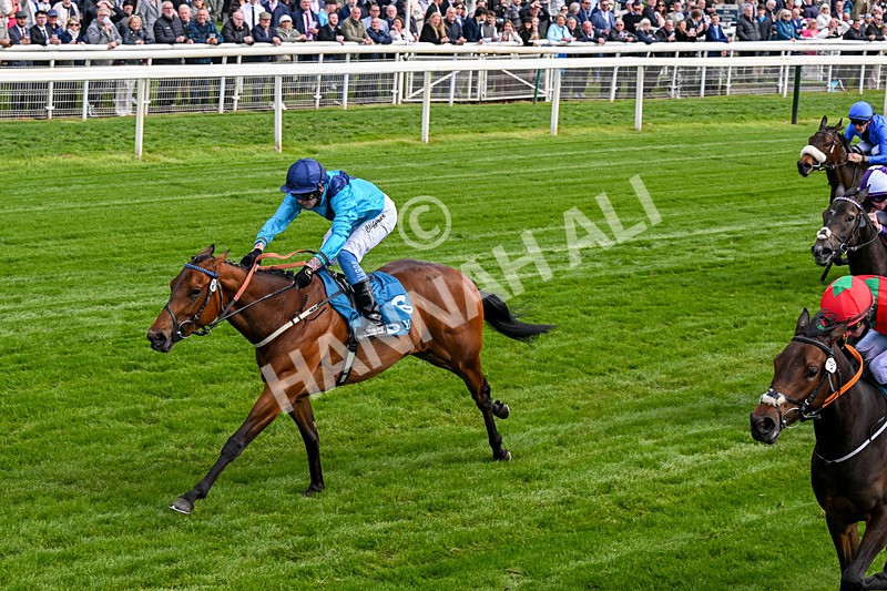 150526-Race 4-Love A Giggle-0230 - Race 4 3.30pm Design Tonic Out Of This World Spaces At The Races EBF Marygate Fillies' Stakes
