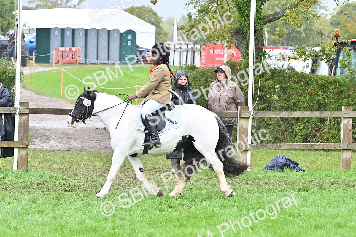 SBM_72574 - S43 - Ridden Equitation Best Rider