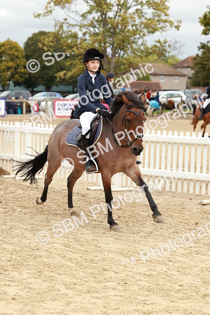 SBM_67039 - J13 - Junior Pony 60cm Championship