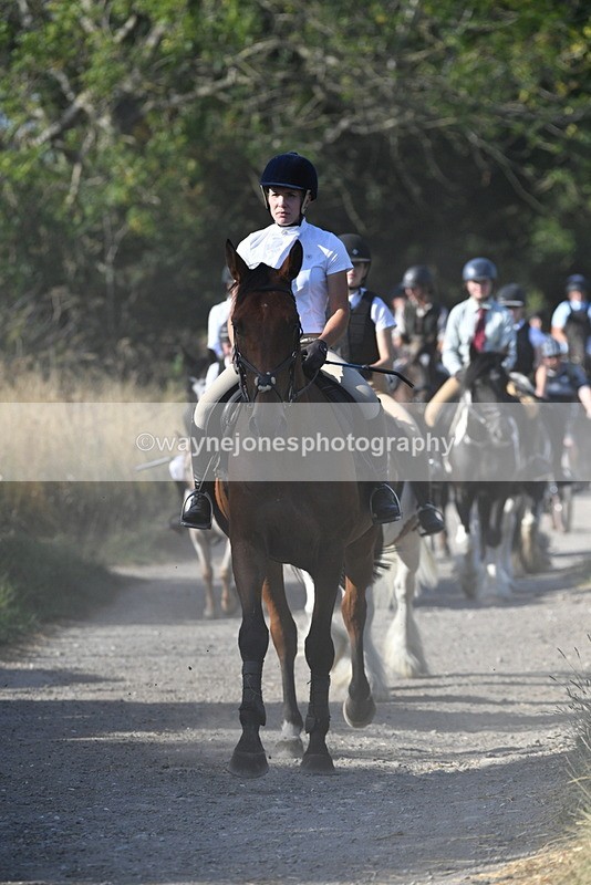 WJ5_4941 - Walk out with the hounds