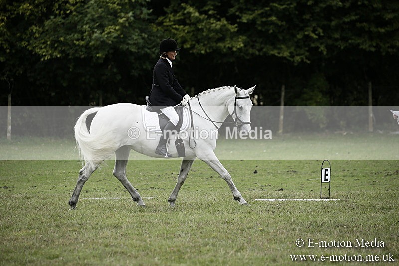 BVR080918 267 - BVRC Novice Dressage & CR 08/09/18