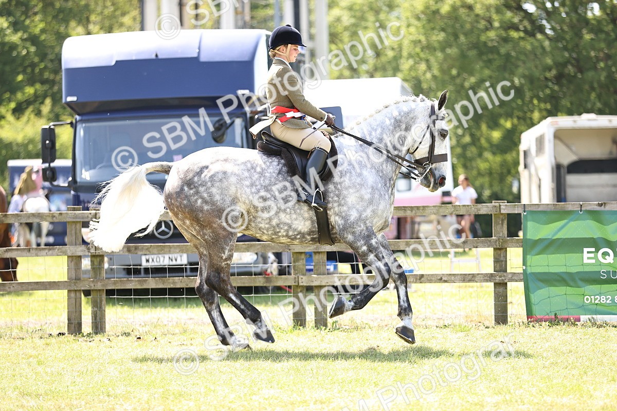 SBM_16241 - Class 79-80 - LIHS BSHA Rising Star Ridden Hunter