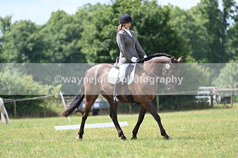 WJ7_4808 - Time 11:22 to 11:51