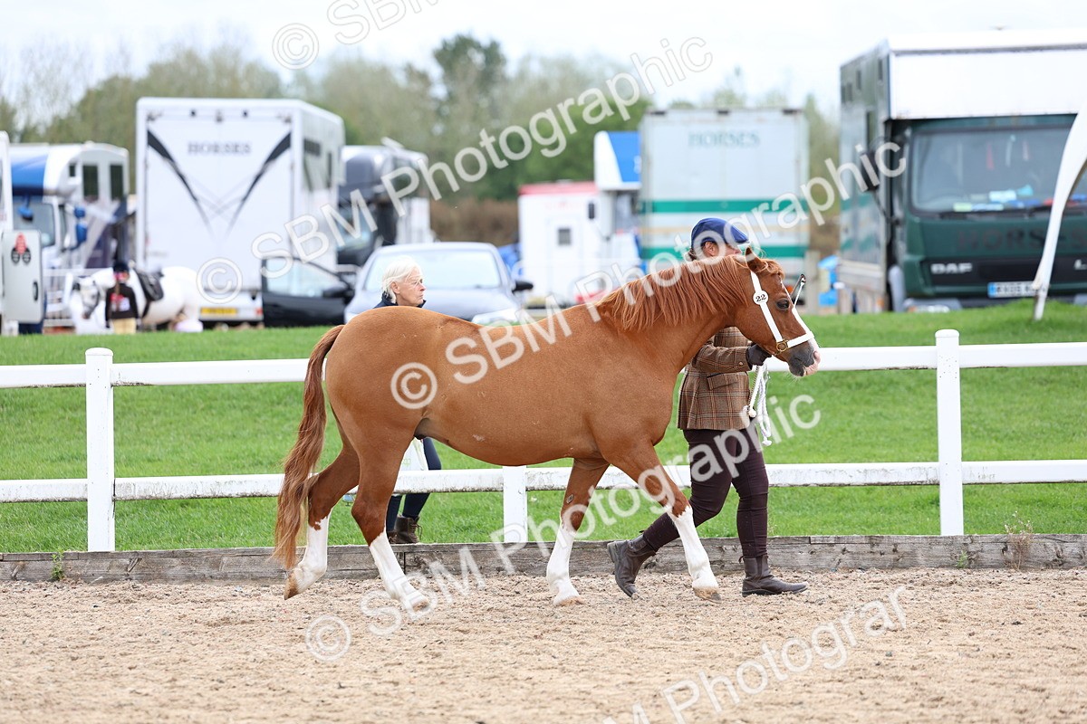 SBM_05819 - Class 29 - IH Veteran Pony