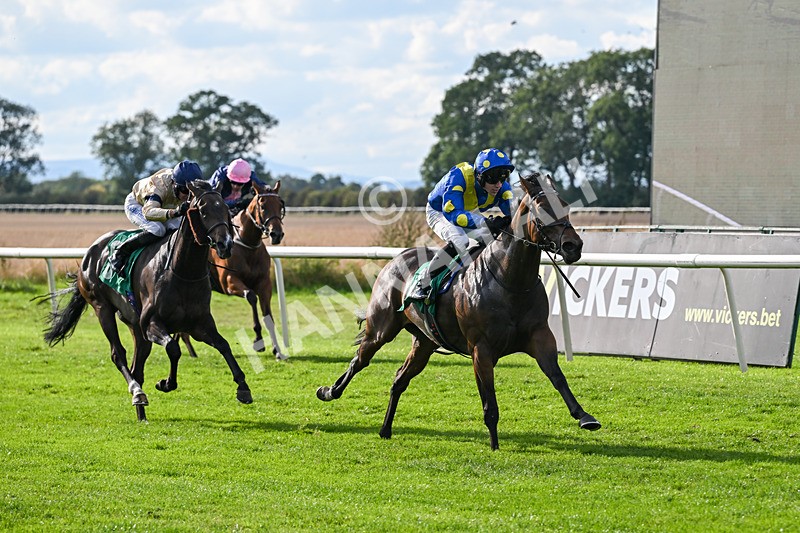 140926-Race 5-Mo Anam Chara-7513 - Race 5 4.21pm decronhorsecare.co.uk Handicap