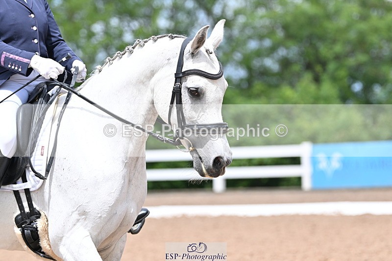 240622A-121758-10045 - Cls 34 BD Music Medium