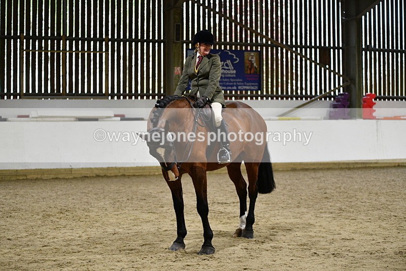 WJ5_8974 - Class 15 Ridden Show Horse