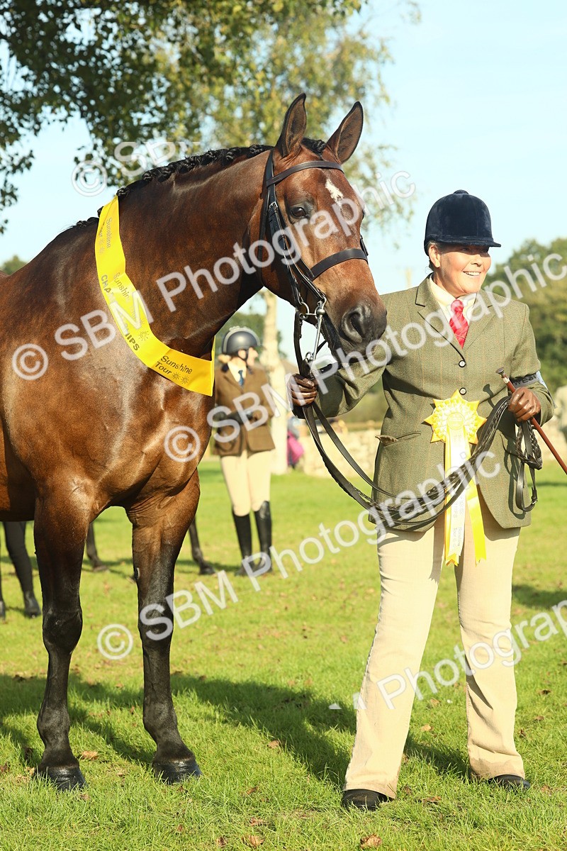 SBM_58639 - S37 - Starters In Hand Showing