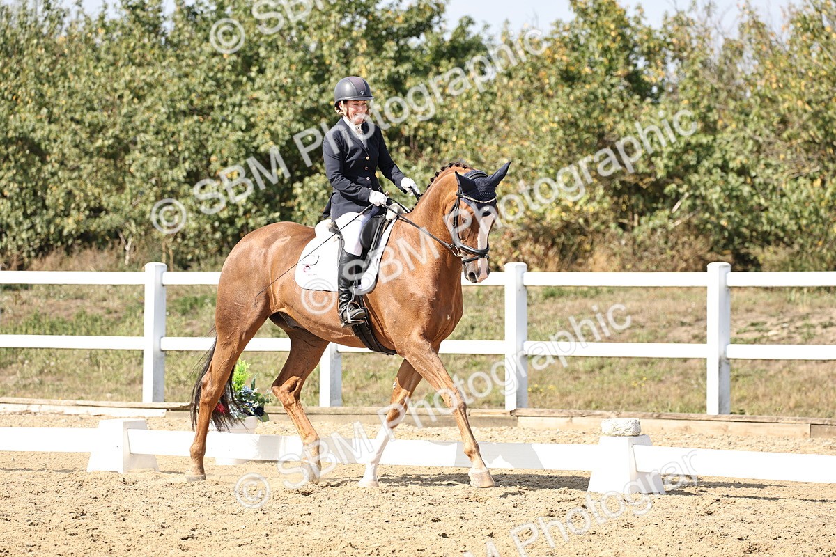 SBM_014941 - Class 7 - Medium 3