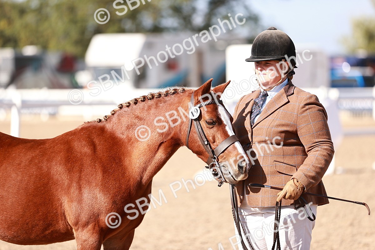 SBM_22714 - Class 704 - IH  Rescue