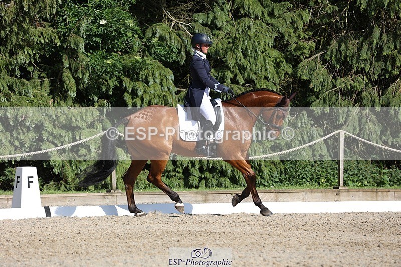 230526-172054-07956 - 177-ARGENTINO_BK-Dani_Evans-WEDTrotUp+DR