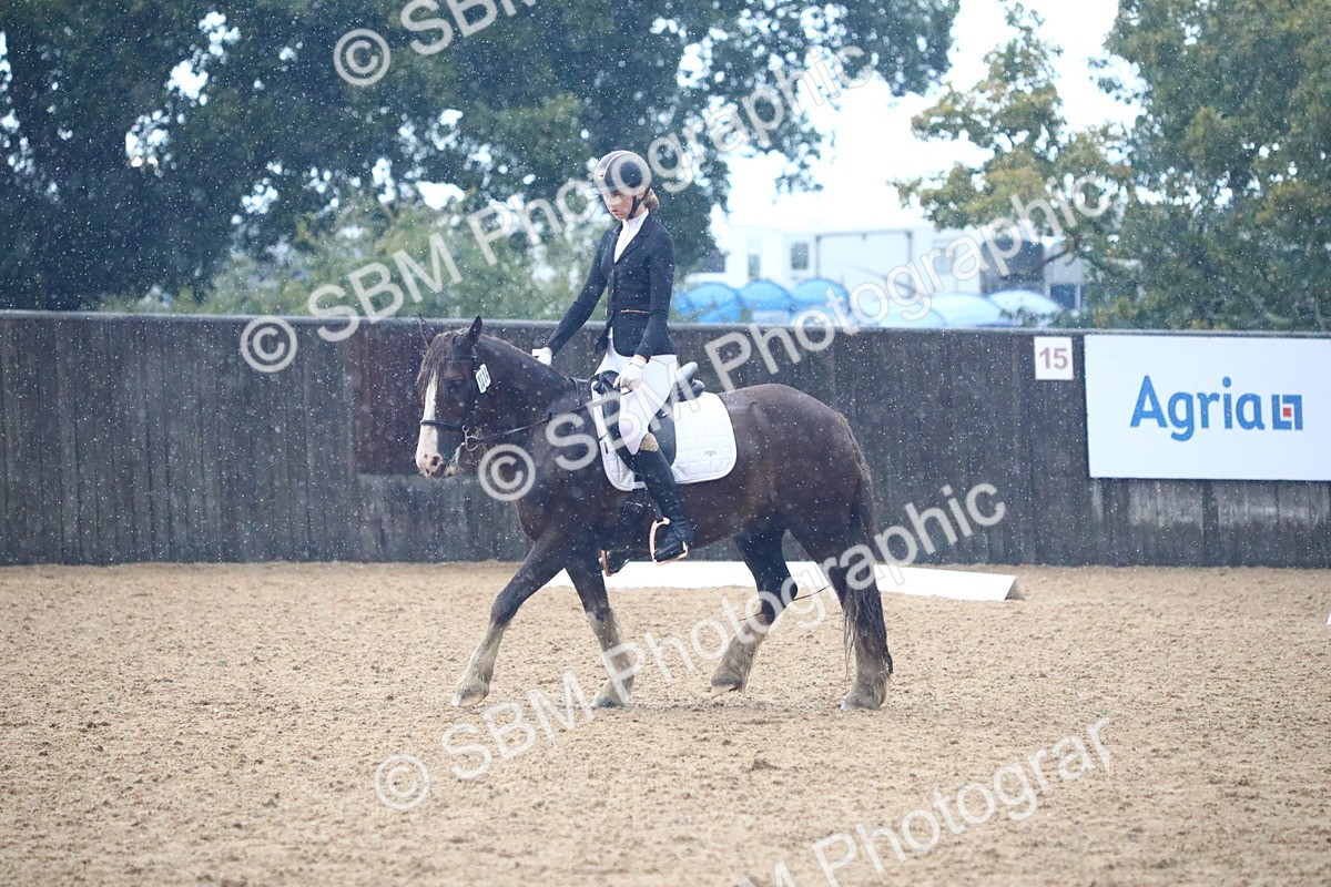 SBM_38847 - D21 - Junior Championship Intro 1