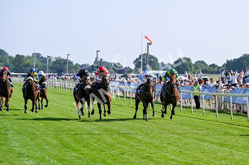100726-Race 6-Ziggys Triton-0663 - Race 6 17.05pm William Hill Keep Your Raceday Positive Handicap