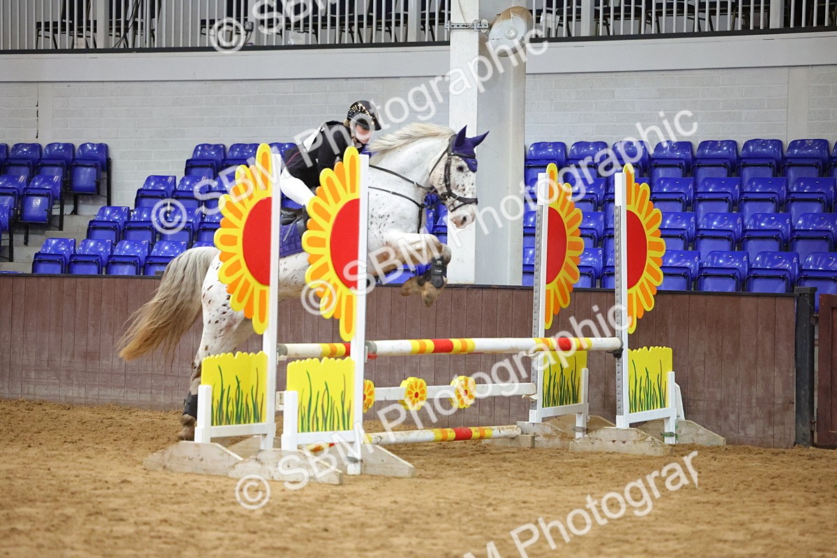 SBM_001904 - Class 5 - Show Jumping 80cm