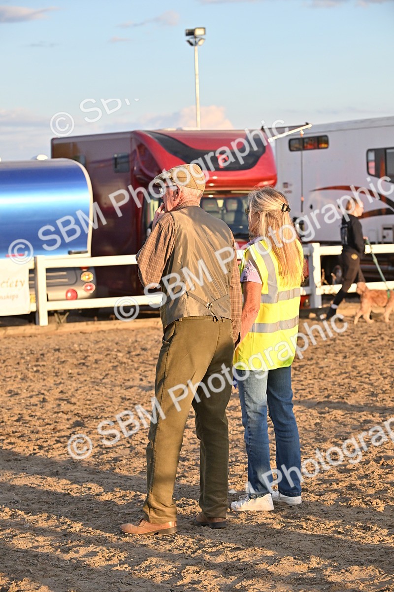 SBM_09722 - Lorry Dogs