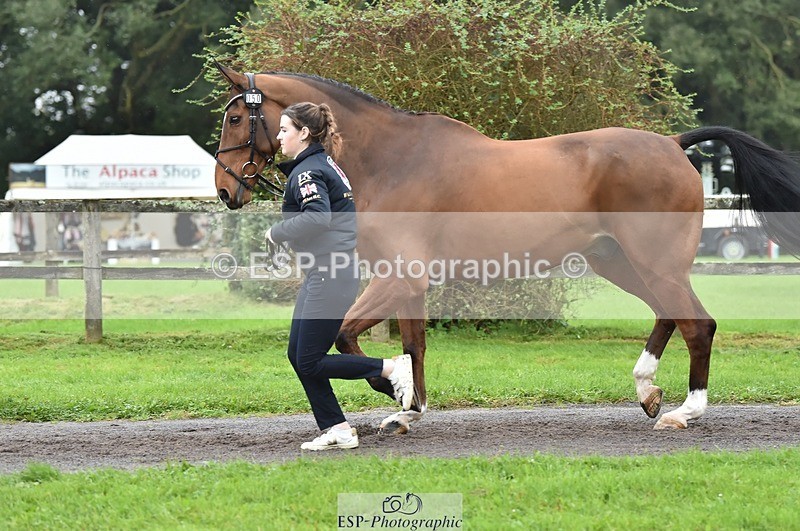 231018-123810-00416 - 050-VENDOME.BIATS-Annabel.Finston-TrotUp