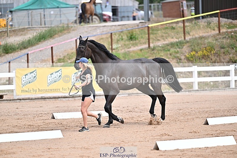 250716-130534-00319 - Trot Up 12.30 to 1.30