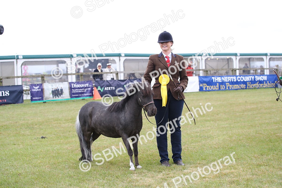 SBM_04021 - Class 23-25 - British Miniature Horse of the Year