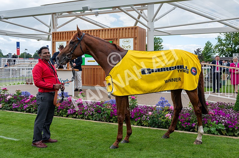 130626-Race 4-Thunder Call-1902 - Race 4 15.35pm Churchill Tyres Supporting Macmillan Sprint Handicap