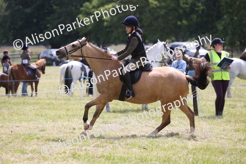 20260614-1801 - Class 21 - Novice Working Hunter Pony
