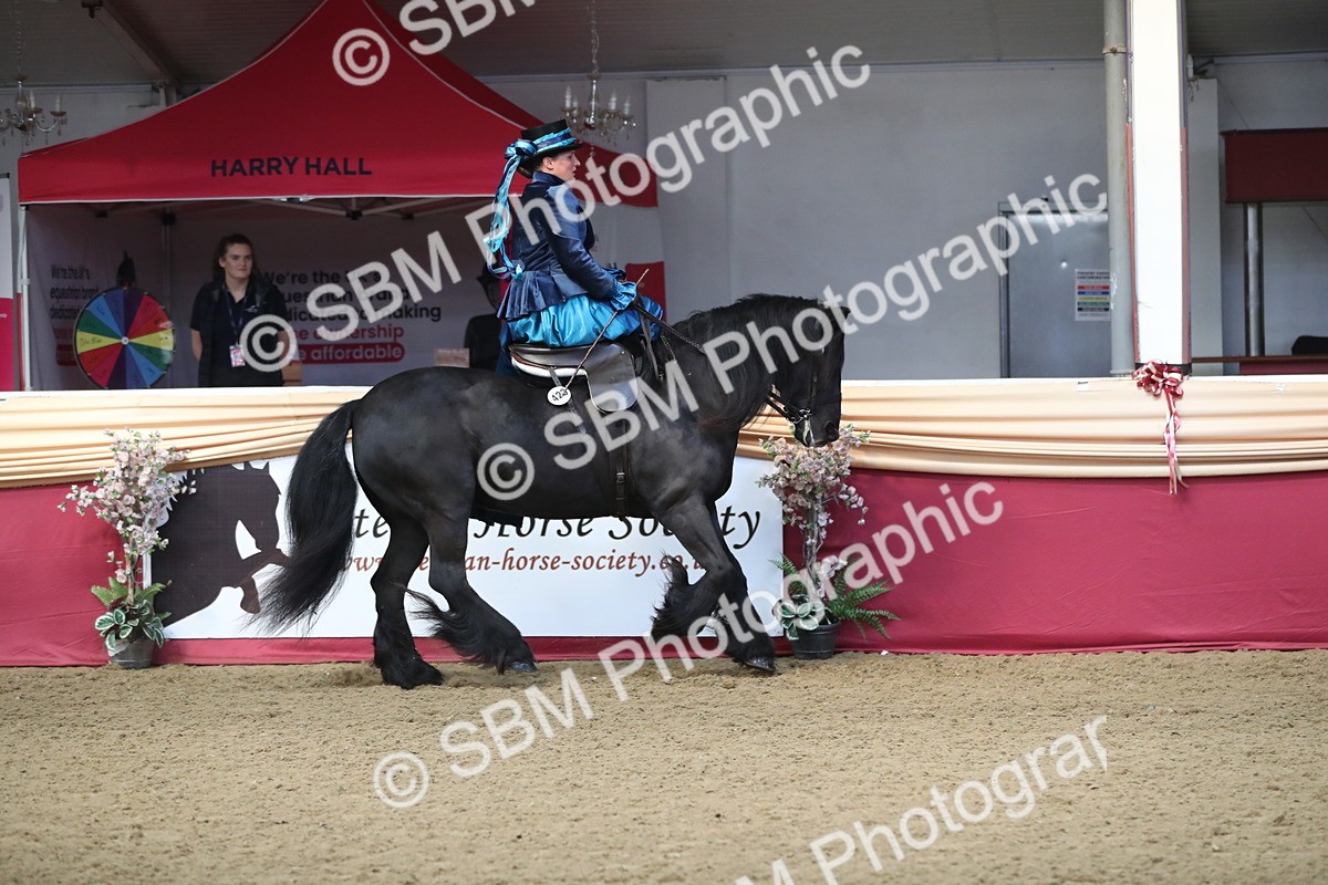 SBM_11564 - Class 105 Ridden Costume- Side Saddle