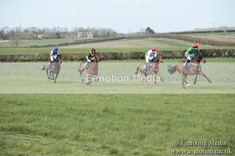 PtP 230319 331 - VWH Hunt Siddington Point-to-Point Racing 23/03/19