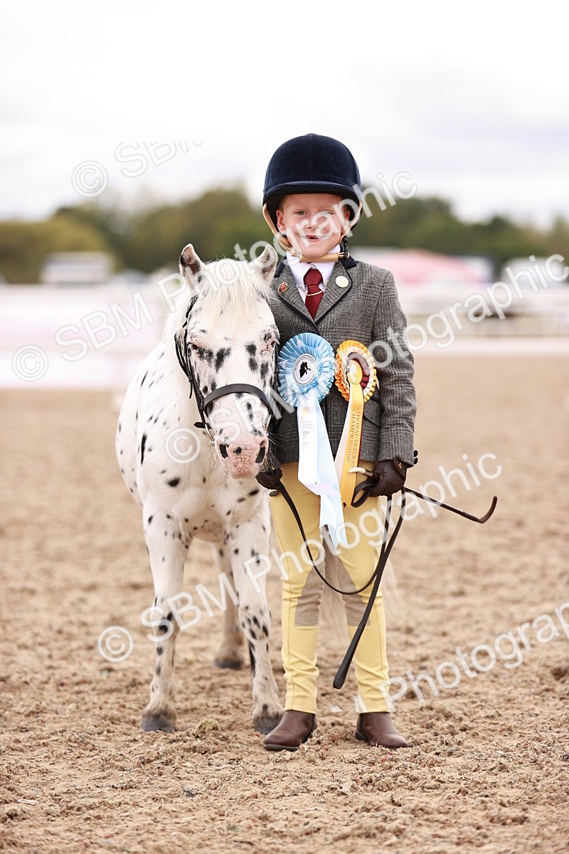 SBM_18610 - Class 421 - Childs Best Friend - Jnr