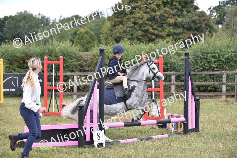 20250831-1843 - Class 9 - Absolute Novice 45cm