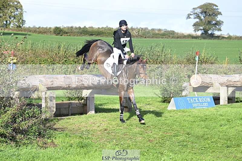 251024A-112244-07391 - A-017-Harrison.Chart