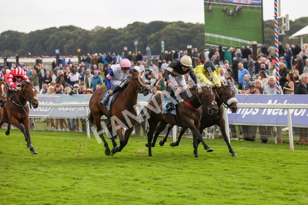 220824-Race 7-Alfa Kellenic-7894 - Race 7 5.20pm British EBF Fillies' Handicap