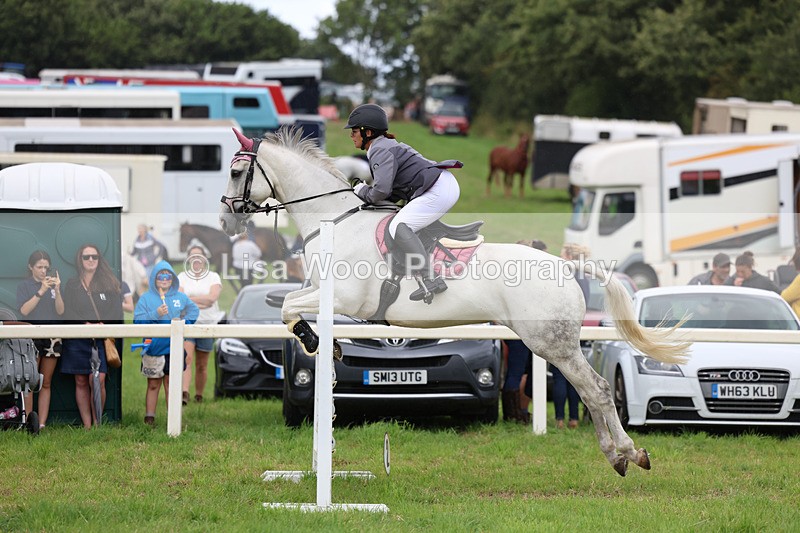 3E7A7224 - Class 5: Senior British Novice/90cm open